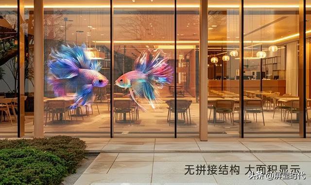 师洲明全息显示开辟崭新沉浸式视觉时代凯发K8登录入口定义空间的光显魔法(图8)